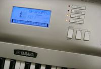 Yamaha YPG225 Review