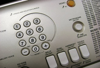 Yamaha PSR-E313 number pad and panel buttons